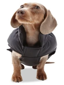 Apparis Harley Jemma Dog Puffer Jacket -Deals Apparis Store unnamed file 514