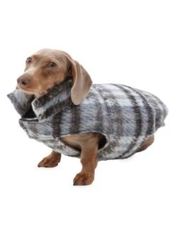 Apparis Pluto Cloud Plaid Pet Puffer Jacket 10 Apparis Pluto Cloud Plaid Pet Puffer Jacket -Deals Apparis Store unnamed file 542