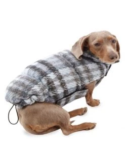 Apparis Pluto Cloud Plaid Pet Puffer Jacket 11 Apparis Pluto Cloud Plaid Pet Puffer Jacket -Deals Apparis Store unnamed file 543