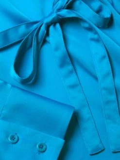 Apparis Chrissy Satin Blouse 13 Apparis Chrissy Satin Blouse -Deals Apparis Store unnamed file 553