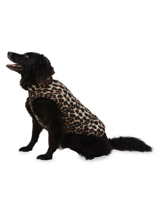 Apparis Ripley Leopard-Print Dog Puffer Jacket 4 Apparis Ripley Leopard-Print Dog Puffer Jacket - Image 3
